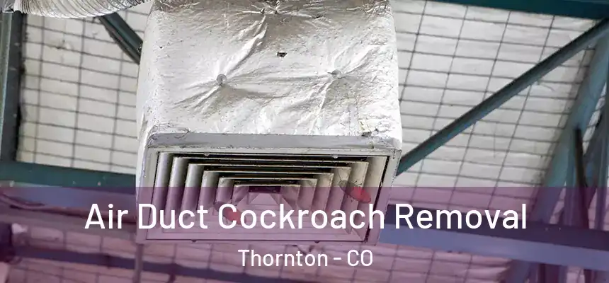  Air Duct Cockroach Removal Thornton - CO