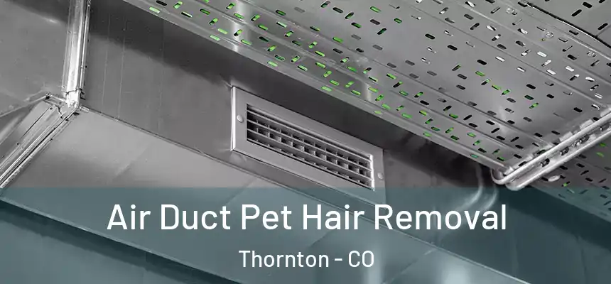 Air Duct Pet Hair Removal Thornton - CO