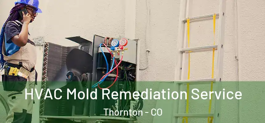  HVAC Mold Remediation Service Thornton - CO