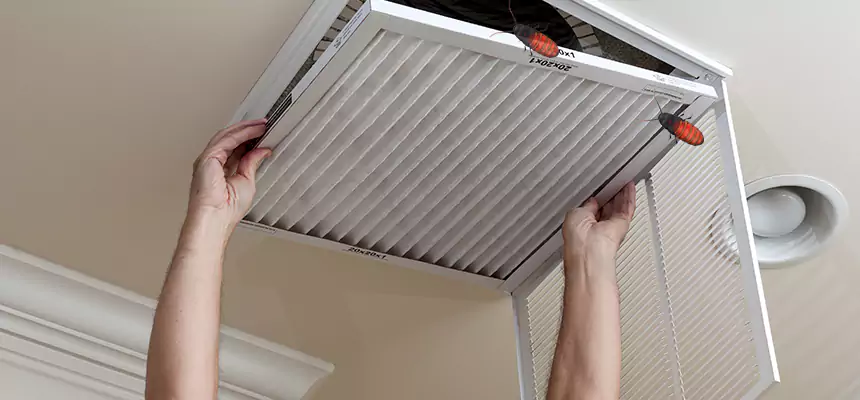 Preventive Cockroach-Proofing for Ducts in Thornton