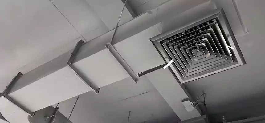 Restorative Allergy Relief Vent Cleaning – Coil, Blower & Housing Detail in Thornton