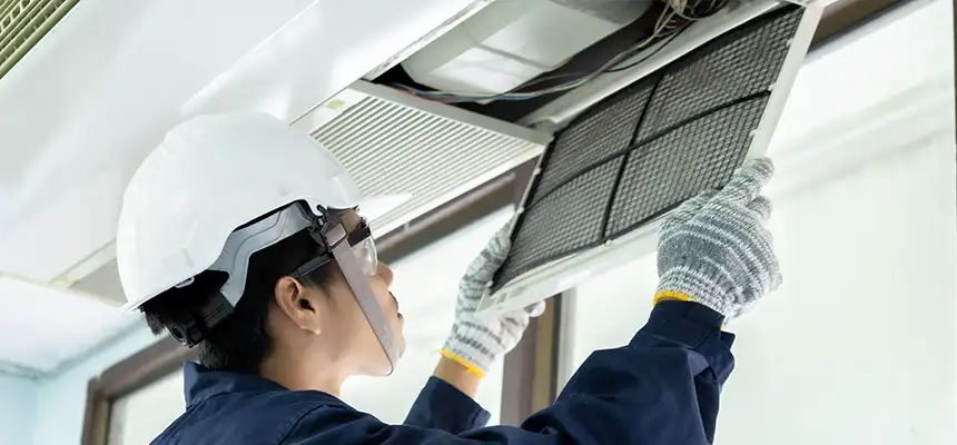 Our Lint Trap Cleaning Service Services in Thornton, CO