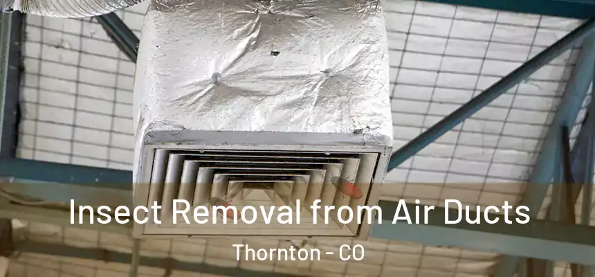 Insect Removal from Air Ducts Thornton - CO