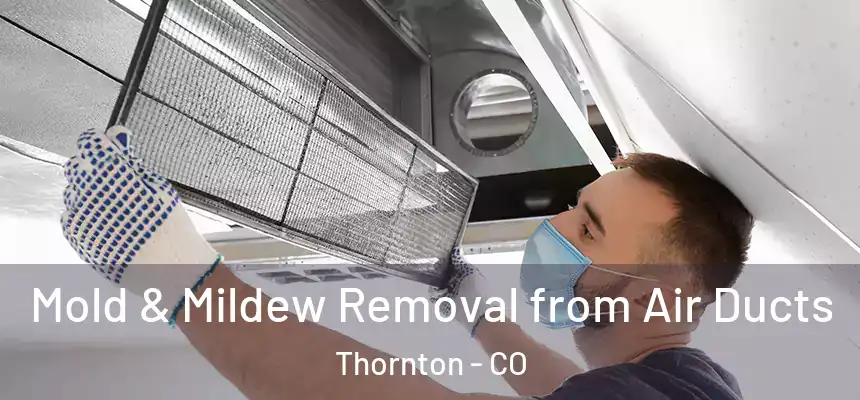  Mold & Mildew Removal from Air Ducts Thornton - CO