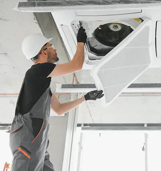 About Air Duct Rodent Removal in Thornton, CO