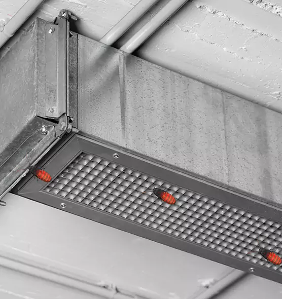 Affordable Insect Removal from Air Ducts in Thornton, CO