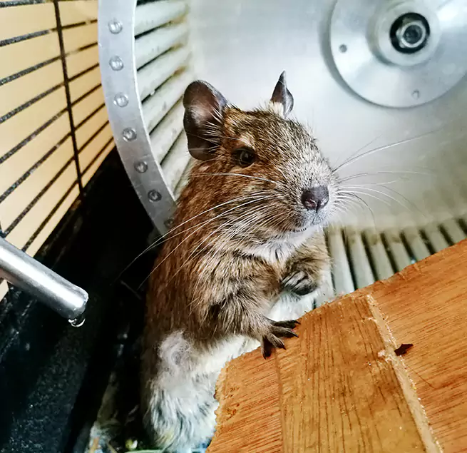 Why Homeowners & Businesses Trust Us Thornton, CO?