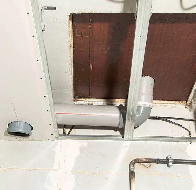 Why Homeowners & Businesses Trust Us in Thornton, CO?