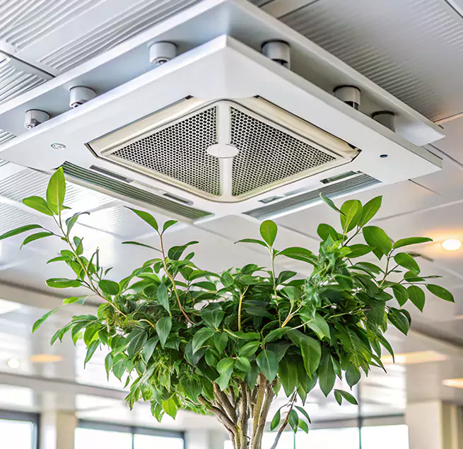 Why Homeowners & Businesses Trust Us in Thornton, CO