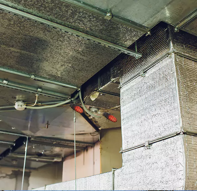 Why Homeowners & Businesses Trust Us Thornton, CO?